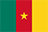 Cameroon Elite One logo