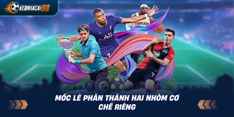 Bản đồ họ mốc lẻ gồm mốc ¼ và mốc nguyên từ 0.25 đến 3.25