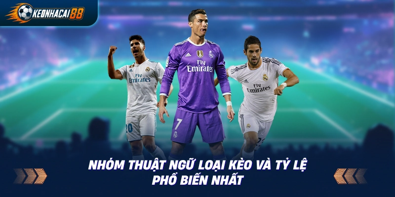 Bảng nhóm thuật ngữ loại kèo và tỷ lệ Handicap, Over/Under, Money Line
