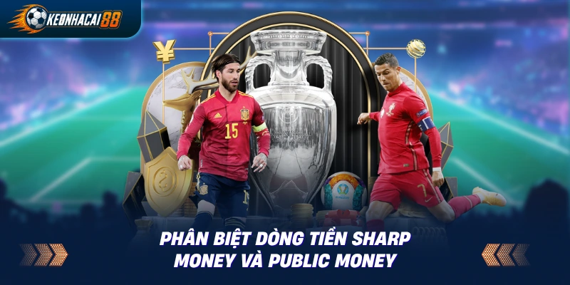 Sơ đồ phân biệt dòng tiền sharp money và public money trên một bảng tỷ lệ kèo
