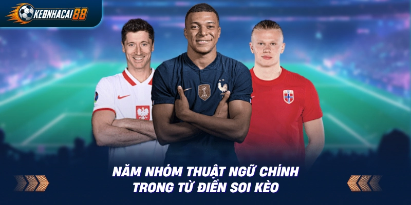 Sơ đồ năm nhóm thuật ngữ soi kèo bóng đá cho người mới