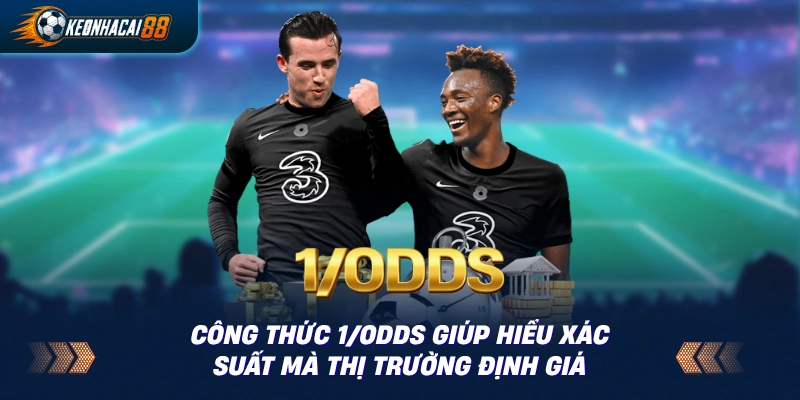 Bảng quy đổi tỷ lệ decimal sang xác suất ngầm (implied probability) cho người đọc dữ liệu bóng đá.