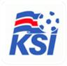 Hạng 2 Iceland logo