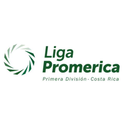 VĐQG Costa Rica logo