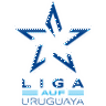 VĐQG Uruguay logo
