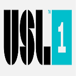 VĐQG USL League One logo