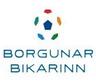 Cúp Iceland logo