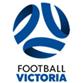 VĐQG Nữ VIC logo