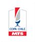 Cúp Quốc Gia Chile logo