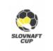 Cúp Slovakia logo