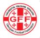 Cúp Georgia logo