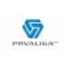 VĐQG Slovenia logo