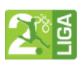 Hạng 2 Slovenia logo