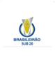 Giải Thanh Niên Brazil logo
