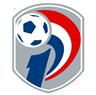 VĐQG Paraguay logo
