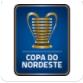 VĐQG Brazil Nordeste logo