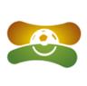 Hạng 2 Paraguay logo