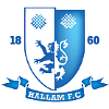 Haarlem logo