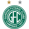 Guarani SP (Youth) logo