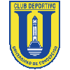 Universidad de Concepcion logo