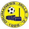 Drumaness Mills