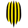 Rukh Vynnyky