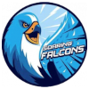 Adamson Falcons