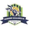 Marumo Gallants FC logo