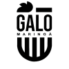 Galo Maringa