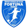 ZFK Fortuna Zivinice (W)