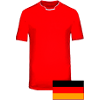 SV Biemenhorst logo