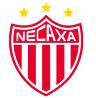 Club Necaxa