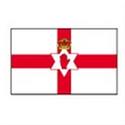 Northern Ireland logo