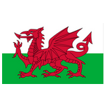 Wales U21 logo