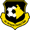 Sao Bernardo logo