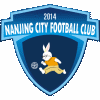 Nanjing City logo