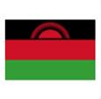 Malawi  (W) logo
